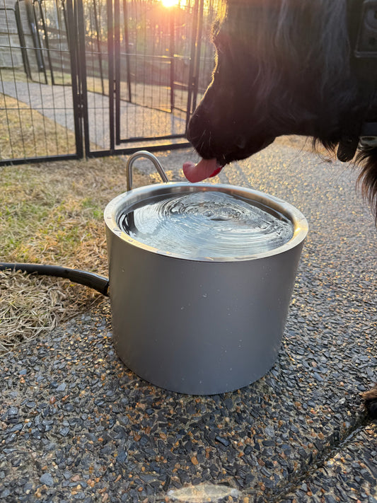 Pet & Livestock Bowl